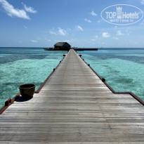 фото из отзыва ID 2736389