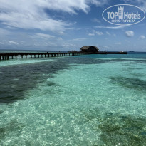 фото из отзыва ID 2736389