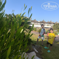 фото из отзыва ID 2736406