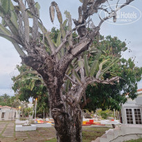 фото из отзыва ID 2736385