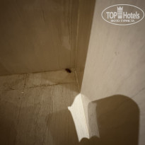 фото из отзыва ID 2736422