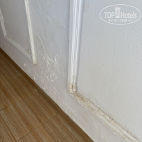 фото из отзыва ID 2736422