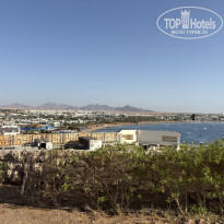 фото из отзыва ID 2736422