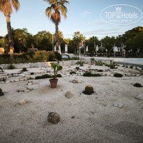 фото из отзыва ID 2736413