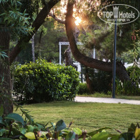 фото из отзыва ID 2736413