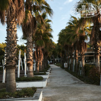 фото из отзыва ID 2736413