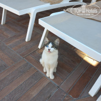 фото из отзыва ID 2736386