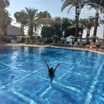 фото из отзыва ID 2736386