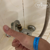 фото из отзыва ID 2736444