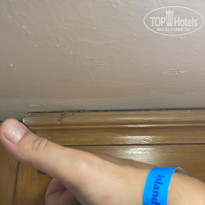 фото из отзыва ID 2736444