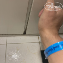 фото из отзыва ID 2736444