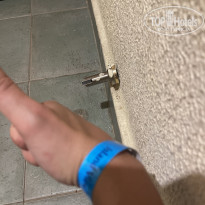 фото из отзыва ID 2736444