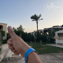 фото из отзыва ID 2736444