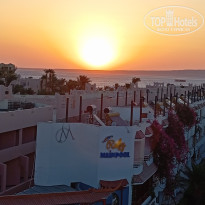 фото из отзыва ID 2736445