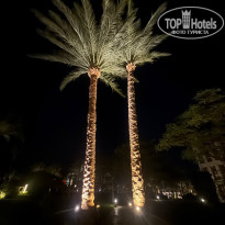 фото из отзыва ID 2736446