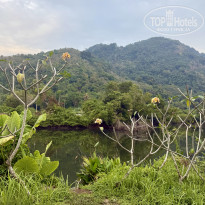 фото из отзыва ID 2736456