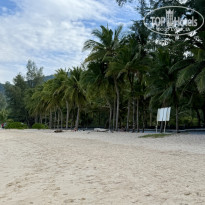 фото из отзыва ID 2736456