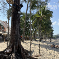 фото из отзыва ID 2736456