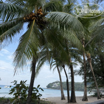 фото из отзыва ID 2736456