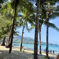 фото из отзыва ID 2736456