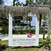 фото из отзыва ID 2736459