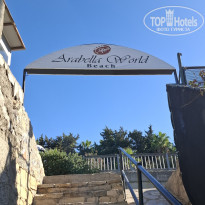 фото из отзыва ID 2736461