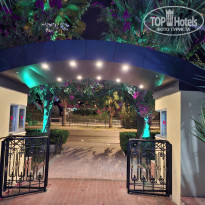 фото из отзыва ID 2736461