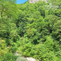 фото из отзыва ID 2736471