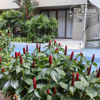 фото из отзыва ID 2736474