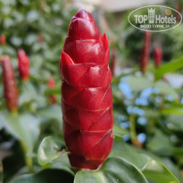 фото из отзыва ID 2736474