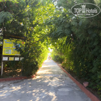 фото из отзыва ID 2736480