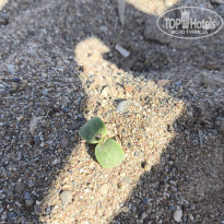 фото из отзыва ID 2736480