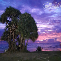 фото из отзыва ID 2736500