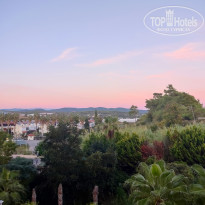 фото из отзыва ID 2736508