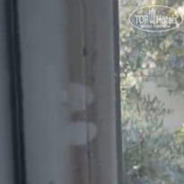 фото из отзыва ID 2736516