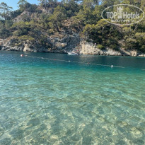 фото из отзыва ID 2736513