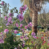 фото из отзыва ID 2736513