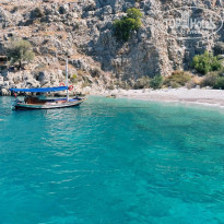 фото из отзыва ID 2736513