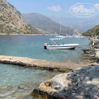 фото из отзыва ID 2736513