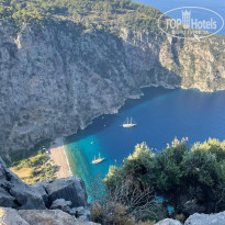 фото из отзыва ID 2736513