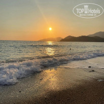 фото из отзыва ID 2736513