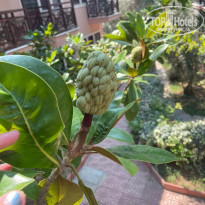 фото из отзыва ID 2736513