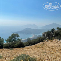 фото из отзыва ID 2736513