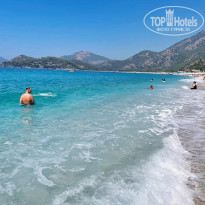 фото из отзыва ID 2736513