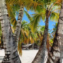 фото из отзыва ID 2736522