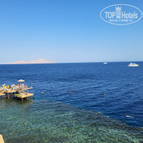 фото из отзыва ID 2735109