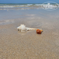 фото из отзыва ID 2736527