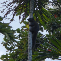 фото из отзыва ID 2736527