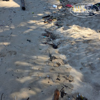 фото из отзыва ID 2736527