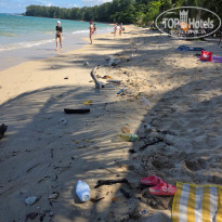 фото из отзыва ID 2736527